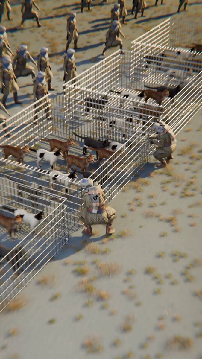 tiklocker_Zack D. Films - Persians Used Cats To Win A Battle 😮 (legend).mp4